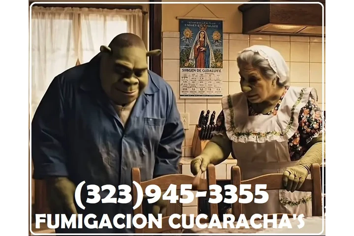 FUMIGATIONS ALL DAY CALL NOW.- image 5