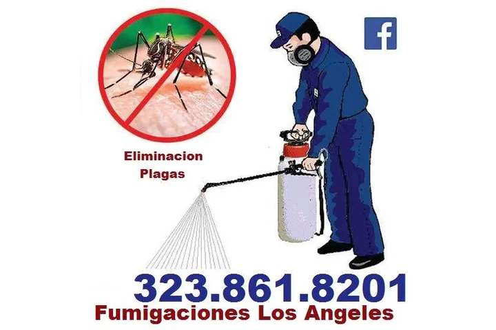 Fumigaciones East Los Angeles. image 1