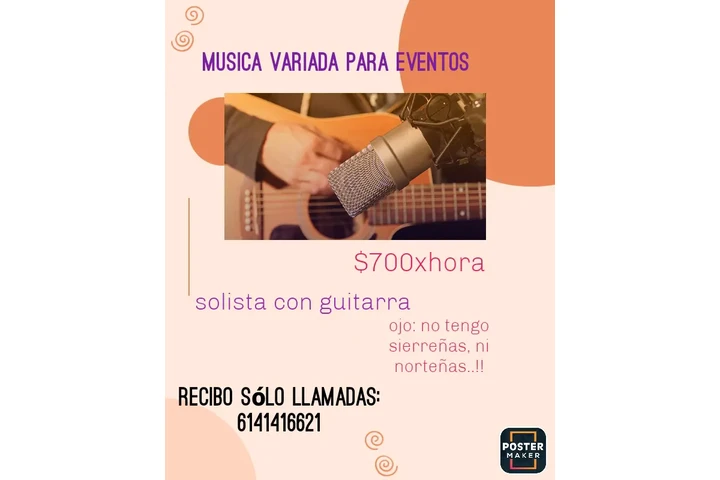 Musica bohemia para eventos image 1