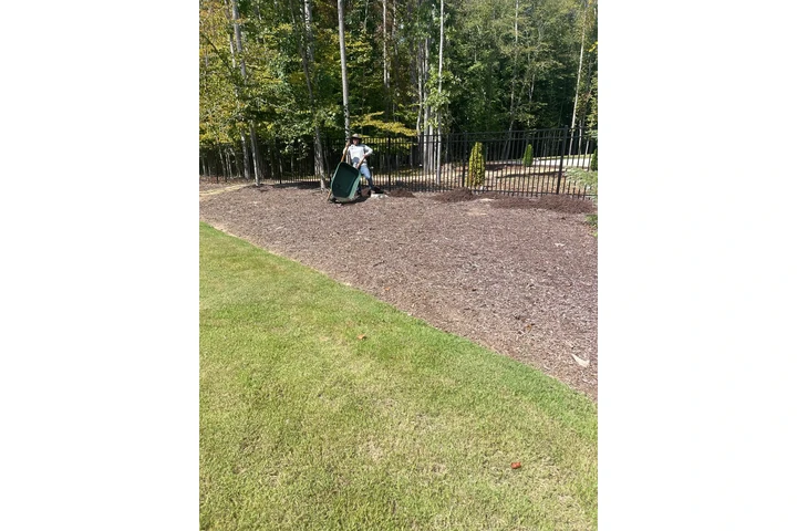 🌲LANDSCAPING SERVICES🌲 image 6