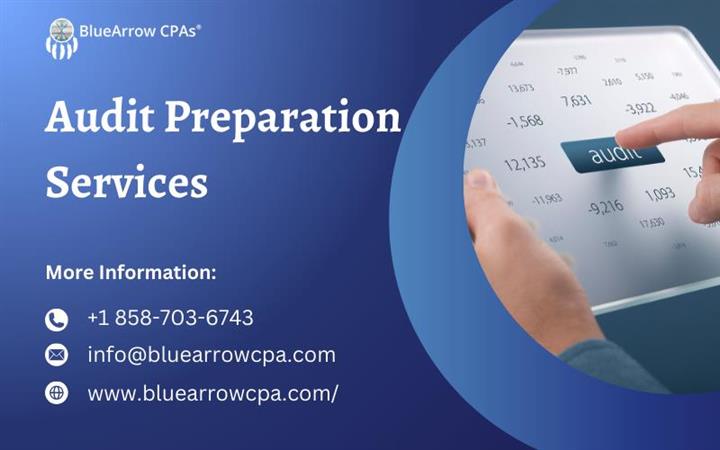 Audit preparation services image 1