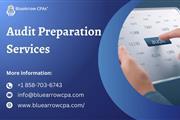 Audit preparation services