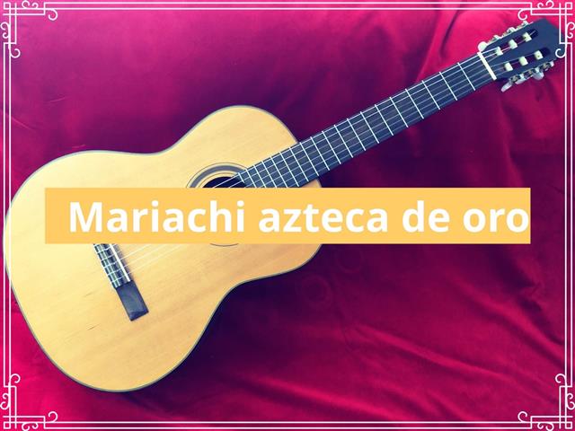 Mariachi Aztecas de Oro image 6