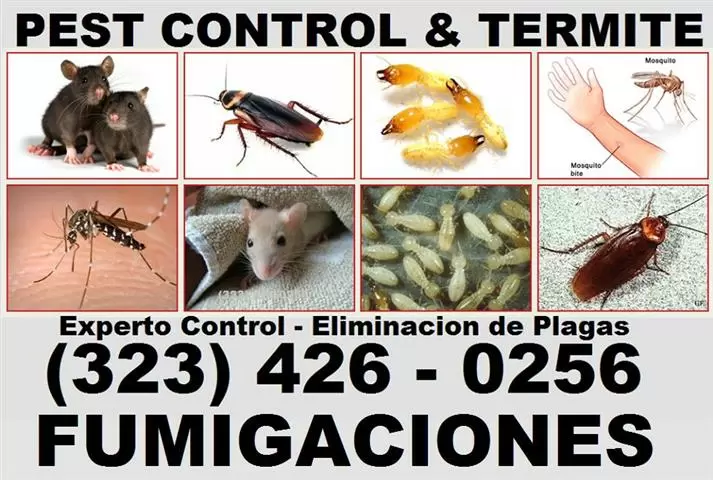 EXTERMINATOR-FUMIGACIONES 24/7 image 2