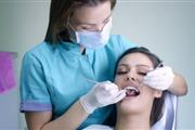 Shanabo Dental Clinic thumbnail 2