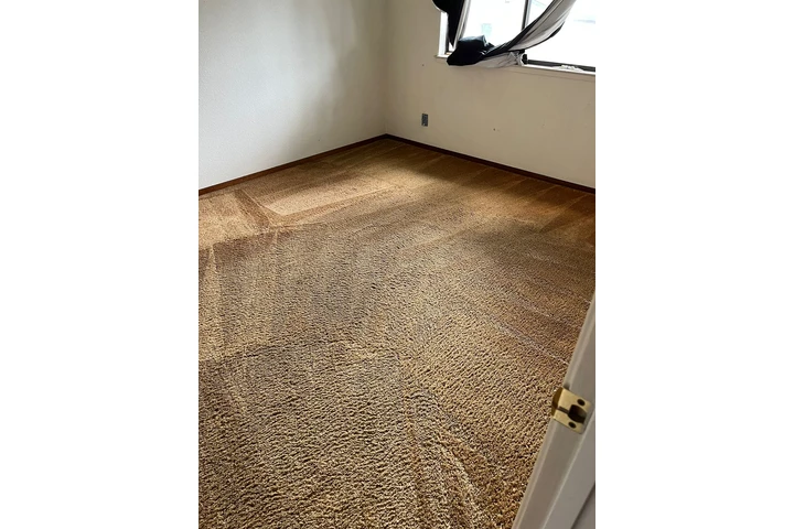 Rafa Carpet Cleaning image 5