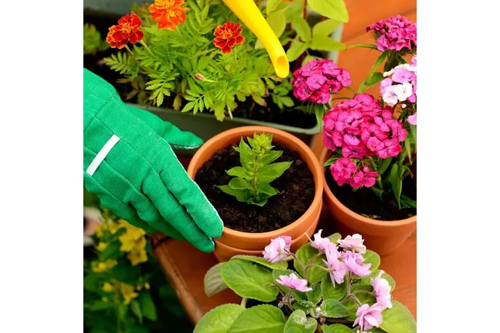 AB Landscaping Inc image 4