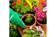 AB Landscaping Inc thumbnail 4