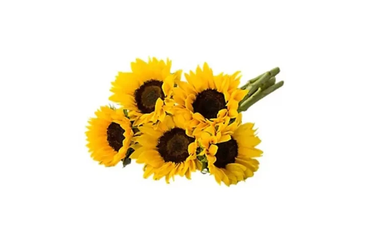 Premium Roses Wholesale image 9