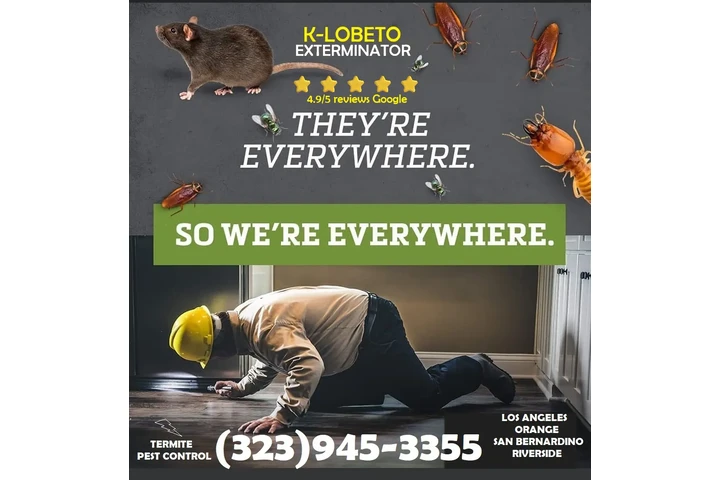 " TERMITE & PEST CONTROL.L.A." image 2