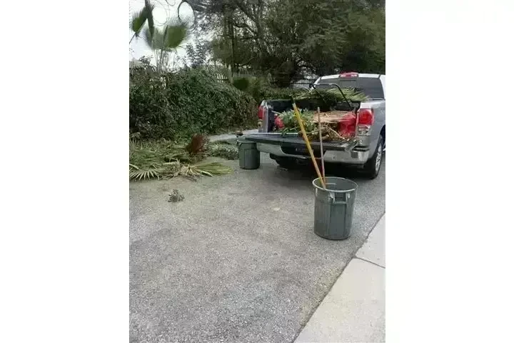 CANALEZ GARDENING SERVICES image 6
