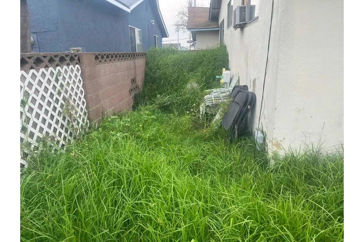 Corte de pasto 🏡$35 image 6