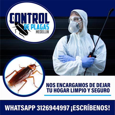 Control de plagas Medellín image 4