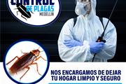 Control de plagas Medellín thumbnail 4
