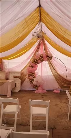 Carpas,arcos deglobos image 6