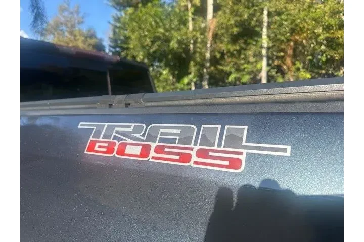 $33000 : Chevrolet Silverado 1500 202 image 8