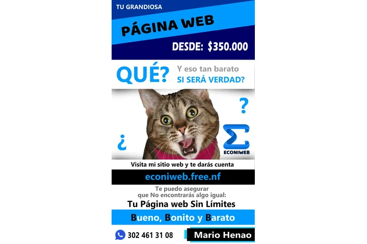 Diseño páginas web económicas image 2