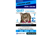 Diseño páginas web económicas thumbnail