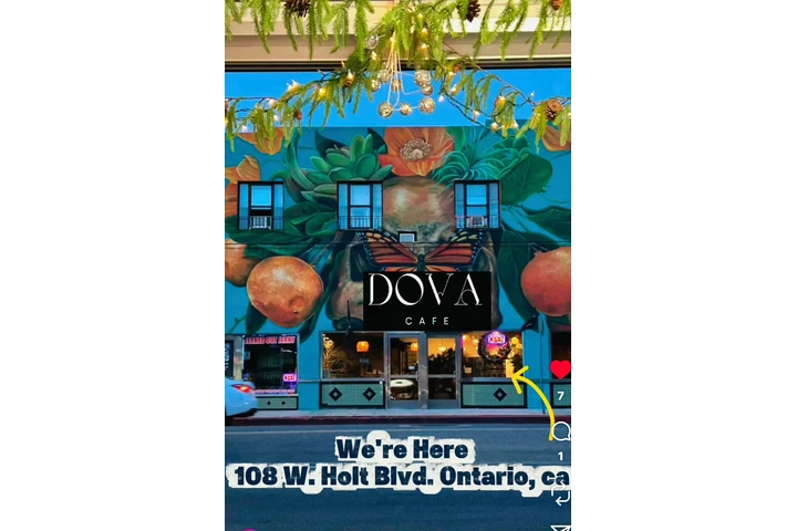 Experienced Cook image 1