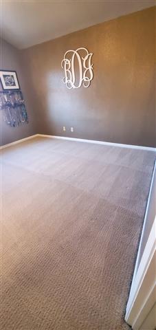 Eclipse carpet & upholstery image 6