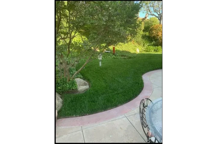 🌄 Expertos en Landscaping image 9