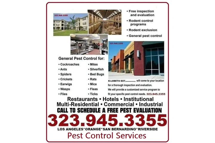 PEST CONTROL-CLASIFICADOS #1. image 8