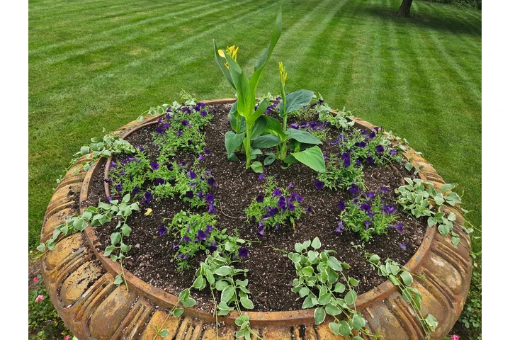 Professional Maintenance image 10