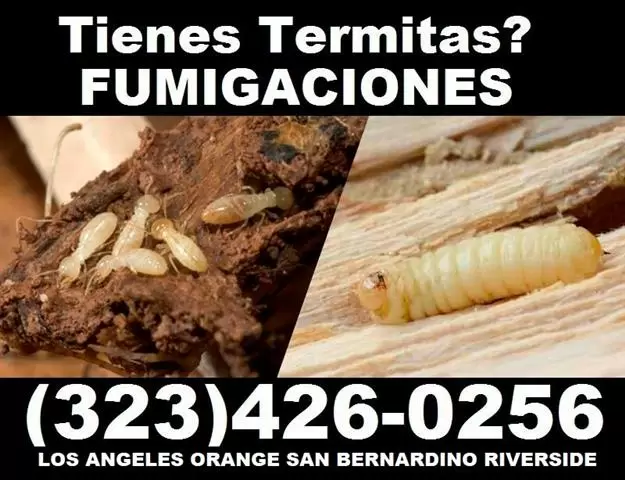 Fumigaciones Termitas Vikane. image 4