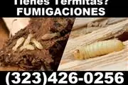 Fumigaciones Termitas Vikane. thumbnail