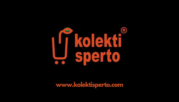 Kolekti Sperto image 1