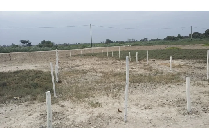 $60000 : Vendo Terreno image 5