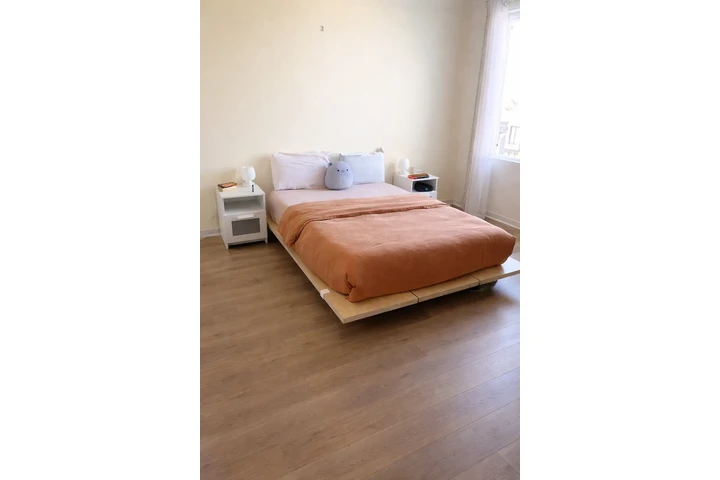 LIMPIEZA PROFESIONAL image 1