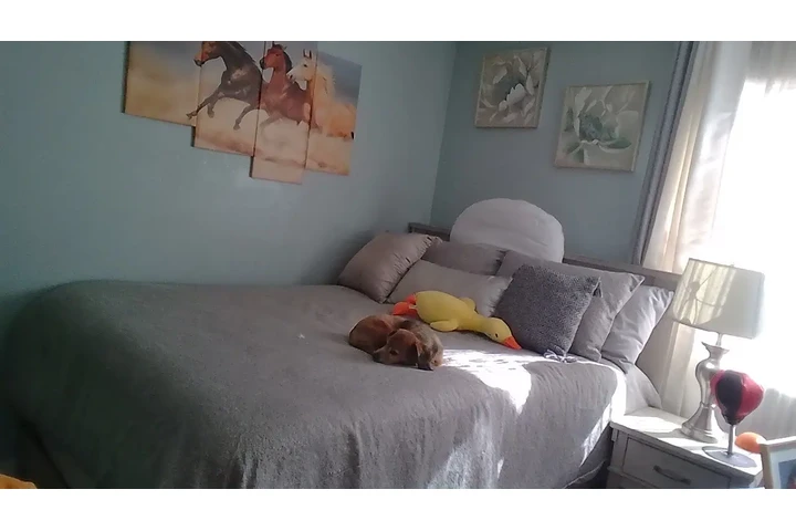 $850 : Cuarto de Renta image 3