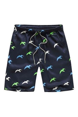 $10 : Collection Best Mens Shorts image 2