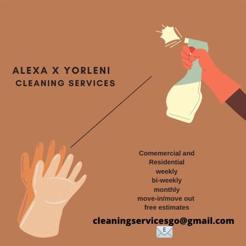 cleaning services image 1