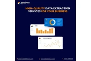 High-Quality Data Extraction en Houston