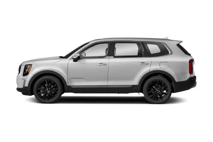 2020 Telluride SX image 3
