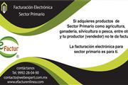 eFactur en Merida MX