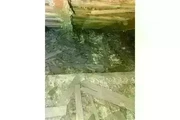 PEST CONTROL thumbnail