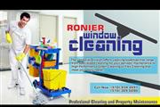 Ronier window cleaning thumbnail 3