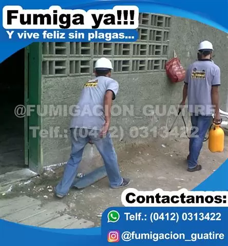 fumigacion caracas guarenas image 4