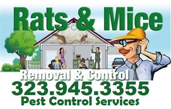 RODENT CONTROL (323)945-3355 image 4