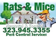 RODENT CONTROL (323)945-3355 thumbnail