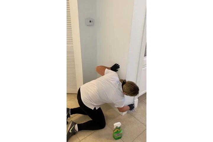 Cleaning & painting projects ✨ image 2