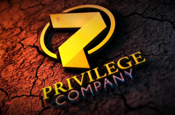 PrivilegeCompany R.P image 4