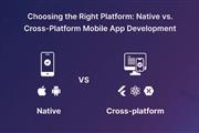 Mobile App Development Company en Wyoming