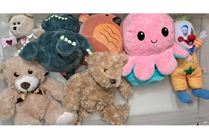 $300 : PAQUETE DE 19 PELUCHES DIFEREN image 3