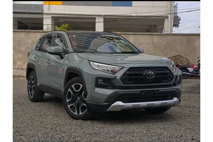 $8900 : Toyota RAV4 Adventure 2019 image 1