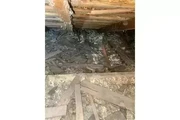 PEST CONTROL thumbnail