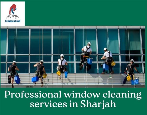 professional window cleaning s image 1